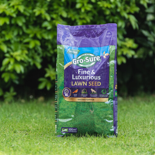 Gro-sure Fine and Luxurious Lawn Seed 100m2 2