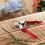 Felco Felco FEL6 Model 6 Compact Secateurs, Red 2