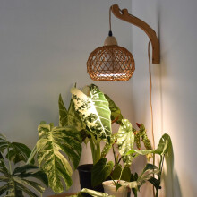 Bstrip Hanging Grow Lights for Indoor Plants, 18W Full Spectrum Aesthetic Plant Light with Wooden Wall Bracket