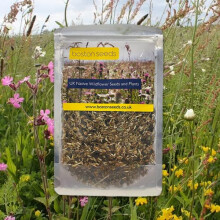 Boston Seeds Restore & Enrich Wildflower Seeds - Wildflower Seed to Restore & Enrich Meadow & Grassland. UK Native Mix with 23x Annual & Perennial