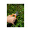 Bahco Bahco P121-20 Bypass SECateurs 200MM 2