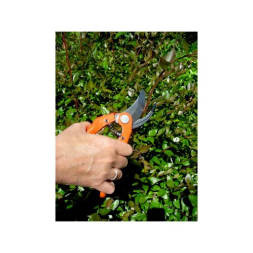 Bahco Bahco P121-20 Bypass SECateurs 200MM 1