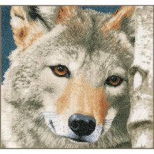 Vervaco Wolf, Aida, Multi, 19.6 x 1.4 x 1 cm