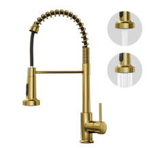 BESy Brushed Gold Kitchen Sink Tap, 2 Function Kitchen Sink Mixer Taps with Pull Out Spray