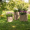 LECHUZA CANTO Stone 30 low sand beige 13701 5
