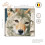 Vervaco Wolf, Aida, Multi, 19.6 x 1.4 x 1 cm 2
