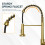 BESy Brushed Gold Kitchen Sink Tap, 2 Function Kitchen Sink Mixer Taps with Pull Out Spray 5