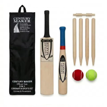 2in1 Junior Size 3 Cricket & 18" Rounders Bat Stumps Wicket Poles Balls Set Game