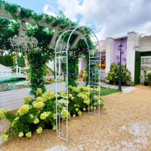 SCENDOR White Wedding Arch Arbour Curved Metal Archway with Elegant Curve for Climbing Plants Roses Vines Lawn Backyard Patio Wedding Outdoor Ceremony