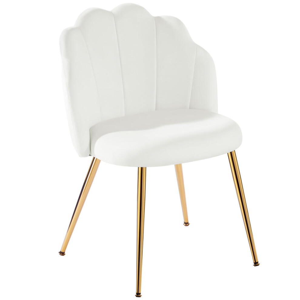 Eufurnibi Velvet Shell Chair with Gold Legs, Vanity Chair for Bedroom Dressing Table, White Upholstered Accent Chair for Living Room-image-OPC-PX7YNV6-NEW
