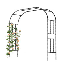 Caroeas Metal Garden Arch with 20mm Thickened Galvanized Steel Tubes, Rust-Resistant rose arch, 210cm Wide x 240cm High