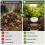 ZZOFSWORM In-Ground Worm Compost Bin 4