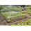 Gardena Gardena Micro-Drip-System Drip Irrigation Set Vegetable/Flower Bed (40 m²): Starter set, ready to use, water-saving irrigation system 3