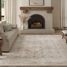 Beauoop Washable Area Rug Beige Vintage Neutral Distressed 200x300 cm Large Non Slip Carpet for Living Room Bedroom Soft Low Pile Indoor Mat Retro