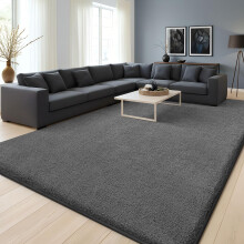 Homaxy Modern Rugs Carpet Living Room, Soft Shaggy Non-Slip Non-Shedding, Fluffy Washable Large Rug for Bedroom Hallway, Easy Care Home Decor