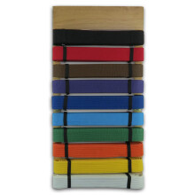 Playwell MARTIAL ARTS Foldable Wall Mounted Belt Display - Holds 10 Belts