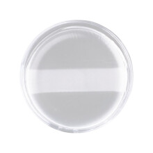 Mélangeur de maquillage en Silicone Transparent,-Circulaire
