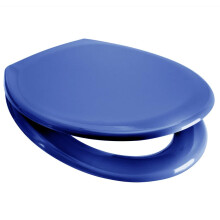 Euroshowers Rainbow Soft Close Toilet Seat (blue)