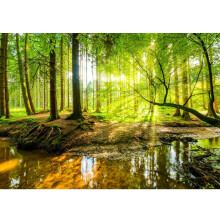 Runa Art Photo Wallpaper Forest Bach Modern Non-Woven Living Room Bedroom Wall Decoration - Made in Germany - Green Brown 9141010a
