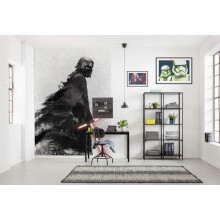 Komar Star Wars Fleece Photo Wallpaper, Fleece, Black, White, 200 x 280 cm (Breite x Höhe), Bahnbreite 50 cm