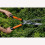 Bahco Bahco P59-25 Hedge Shear, Multi-colord 5