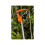 Bahco BAHCO P34-27A-F TOP Pruner, Red 2