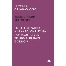 Beyond Criminology Taking Harm Seriously Paperback Book