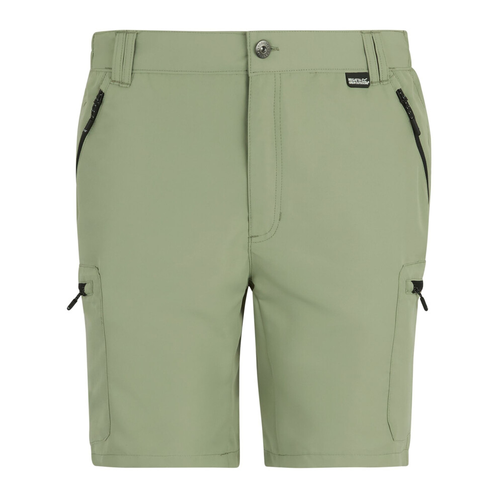Regatta (34R, Light Sage) Mens Leesville Iii Shorts
