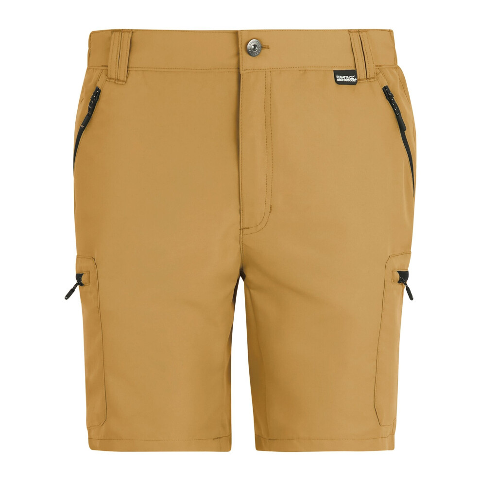 Regatta (44R, Wood Brown) Mens Leesville Iii Shorts