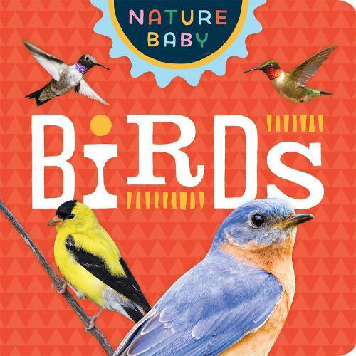 Nature Baby Birds Paperback Book