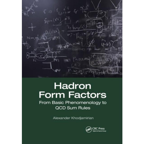 Hadron Form Factors From Basic Phenomenology to QCD Sum Rules by Alexa