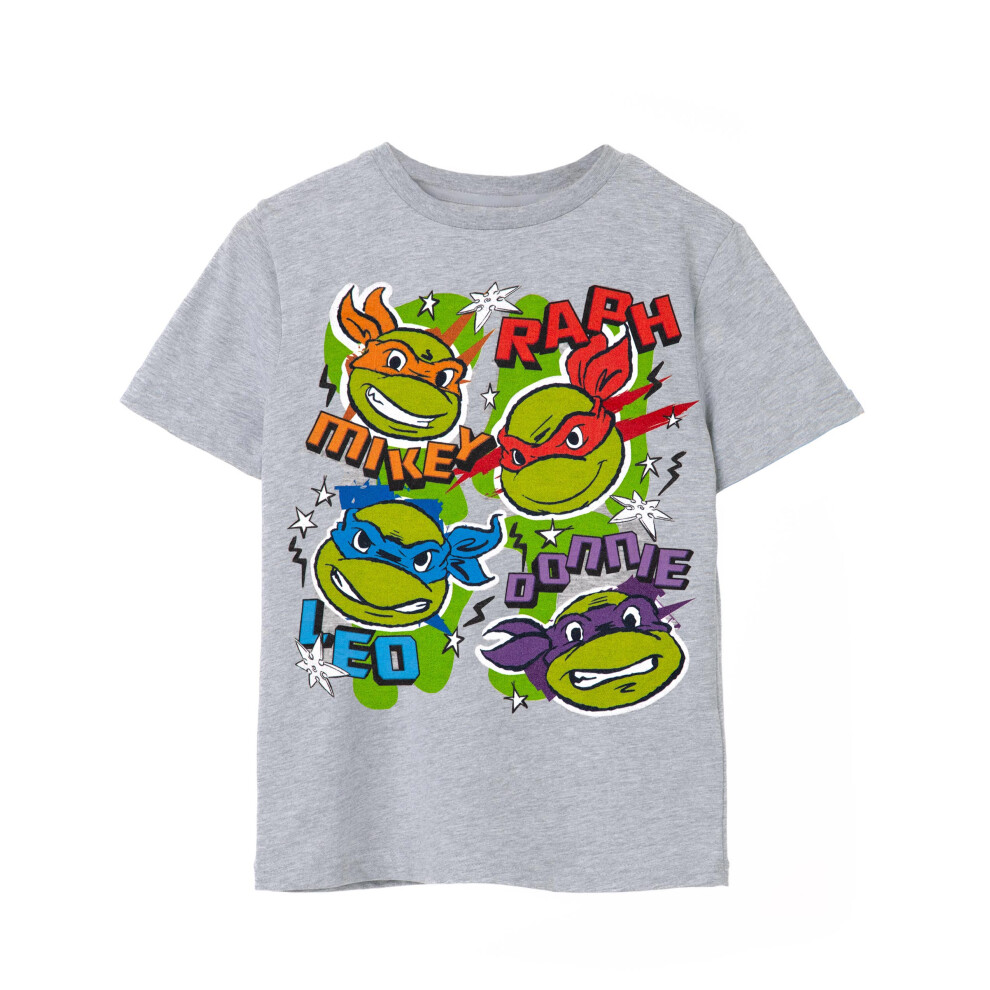 Teenage Mutant Ninja Turtles (5-6 Years) Short Sleeved T-Shirt (Unisex Kids Grey)