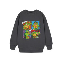 (5-6 Years) Teenage Mutant Ninja Turtles Sweatshirt (Boys Grey)