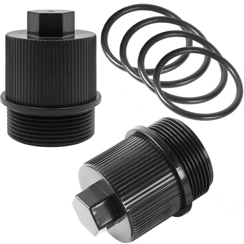 TonGass (2-Pack Dräneringsplugg Lock för Pentair Filter med O-Ring