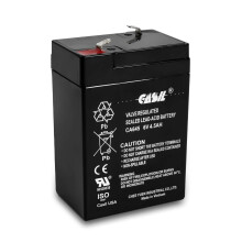 Casil CA645 Batteria AGM Ricaricabile 6V 4.5Ah per Auto, Alimenti per Cervi e Giocattoli