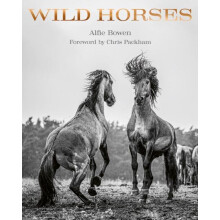 Wild Horses by Alfie Bowen Hardcover Book