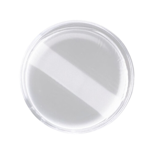 Silicone Transparent Cushion Makeup Puff Reusable For-Circular
