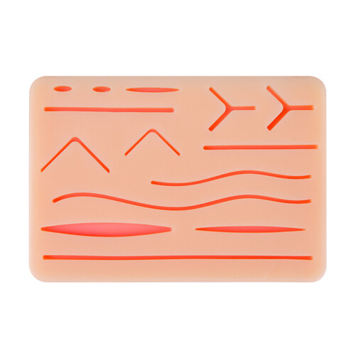 Modèle de peau de pratique de Suture chirurgicale avec tampon de