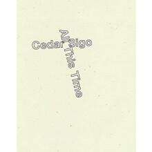 All This Time by Cedar Sigo Paperback Book