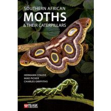 Southern African Moths and their Caterpillars by Hermann Staude Paperb