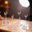 Doll Exhibition Stand With Flexible Height Adjustment-1714 3 9