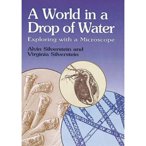 SilversteinS World in a Drop by Alvin Silverstein Paperback Book