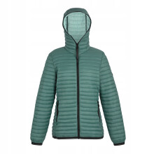(12 UK, Spruce Green) Regatta Womens/Ladies Rigain Padded Jacket