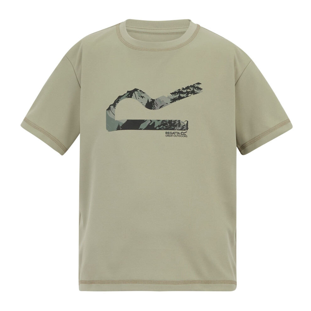Regatta (11-12 Years, Abbeystone) Childrens/Kids Alvarado Back Print T-Shirt