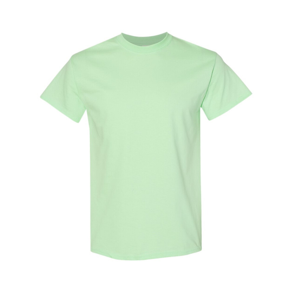 Gildan (L, Mint Green) Mens Heavy Cotton Short Sleeve T-Shirt (Pack Of 5)