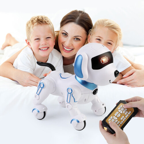 RC Robot Hundleksak Programmerbar Fjärrkontroll 1-pack