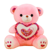 Valentine's Day Teddy Bear Pink Plush 23cm