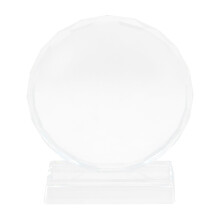 Crystal Trophy for Adults Desktop Decoration Custom Award