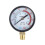 Y60 Pressure Gauge 0-1.6 MPa for Pool Filter 1