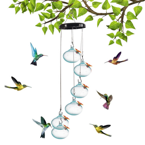 Hummingbird Feeder Outdoor Leak-Proof Ant Bee Proof